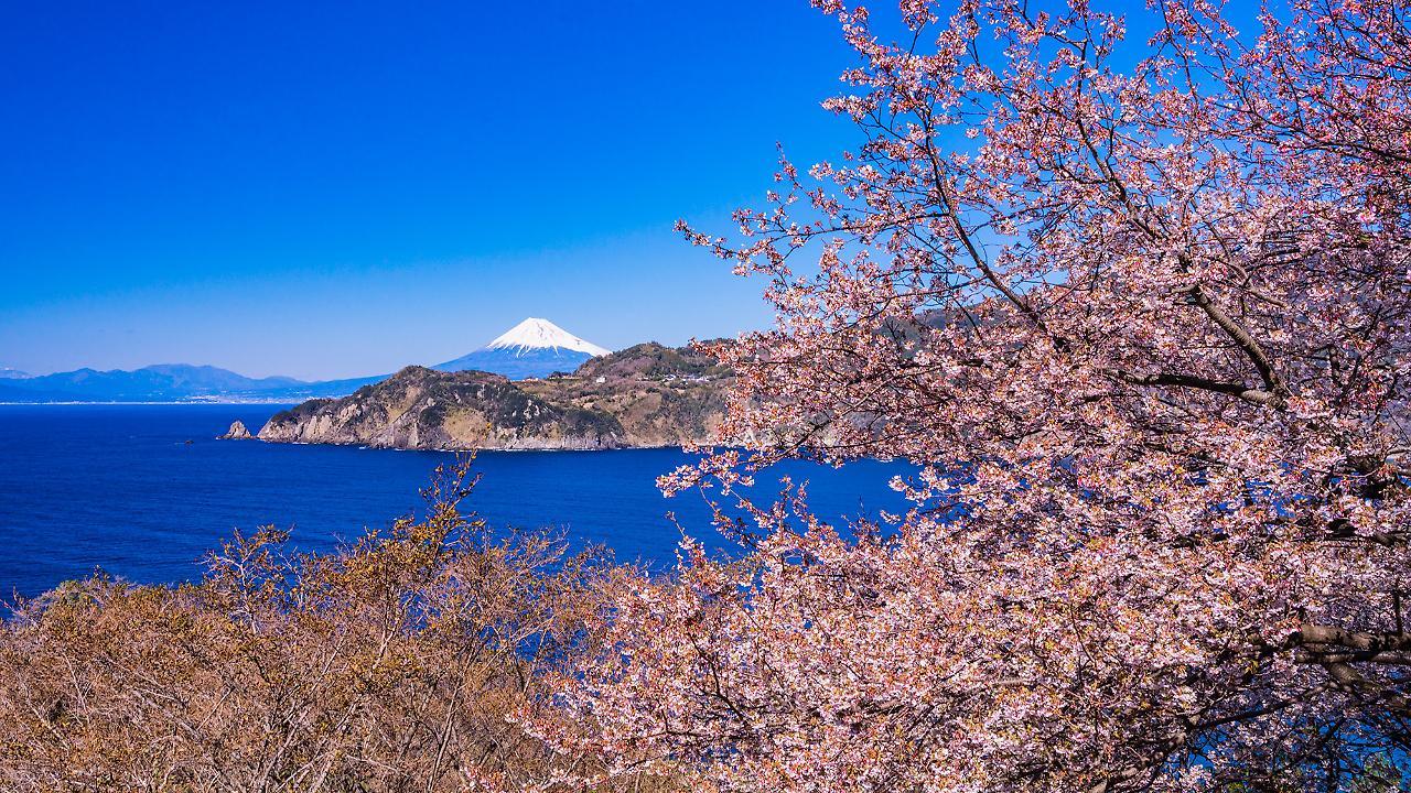 Ooedo Onsen Monogatari Toi Marine Hotel Izu  Zewnętrze zdjęcie